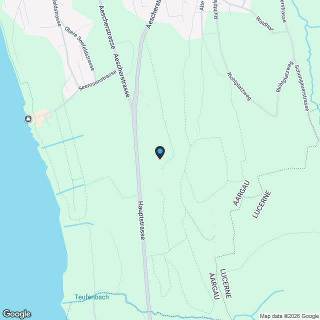 Neubau: Top moderne Wohnoase mit grossem Gartenanteil - Karte