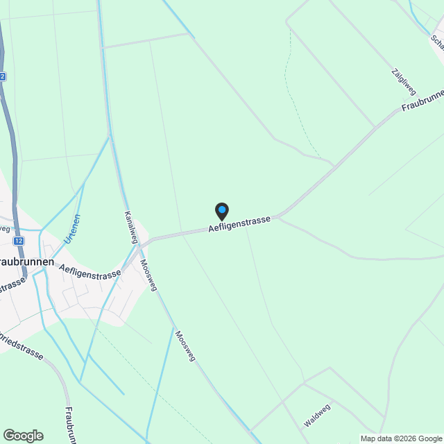 Neubau - stilvolle 4.5-Zimmer-Maisonette mit 157 m² Wohnfläche in Zauggenried - Karte