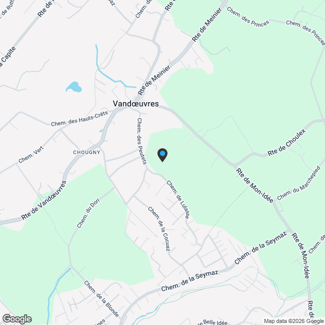 PROJET NEUF - APPARTEMENT DE LUXE A VANDOEUVRES - Karte