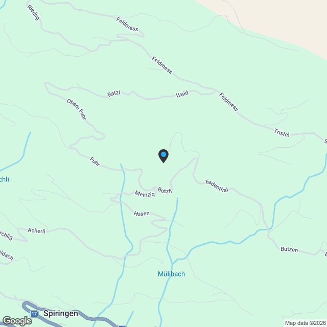 Neubau-Einfamilienhaus aus Urner Mondholz in ruhiger Lage - Karte