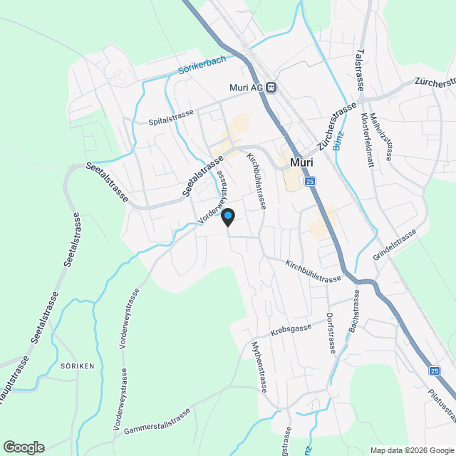 Neubauprojekt in Muri AG  Moderne 4.5-Zimmer-Wohnung an bester Lage - Karte