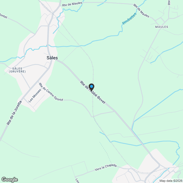 Villas neuves jumelles 5,5 pièces avec jardin - Karte