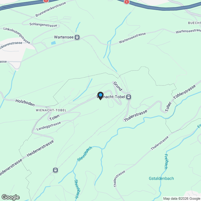 Ökologische 4.5-Zimmer Dachwohnung in Wienacht-Tobel (Neubau) - Karte