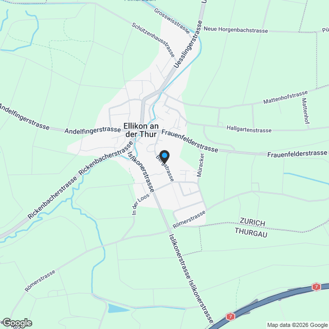 Modernes 7.5-Zimmer-Einfamilienhaus in ruhiger Lage von Ellikon an der Thur - Karte