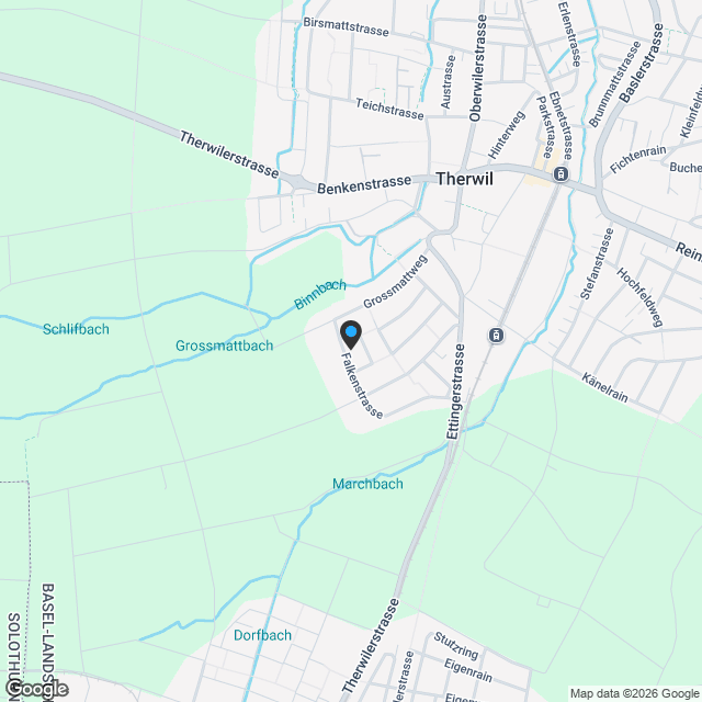 Exklusive  4,5 Zi.- Neubau-Wohnung mit 221 qm eigenem Garten in Therwil - Karte