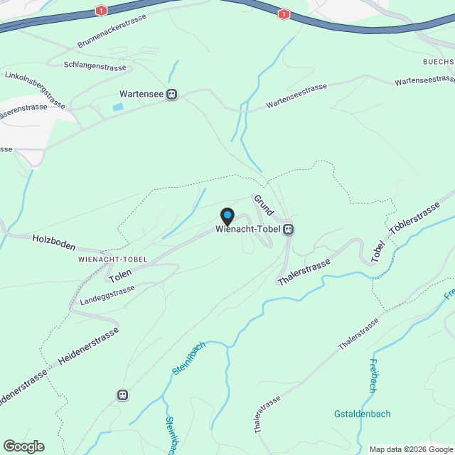 Ã–kologische 2.5-Zimmer Wohnung mit Balkon in Wienacht-Tobel (Neubau) - Karte