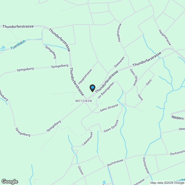 Alpenblick Wetzikon TG - Karte