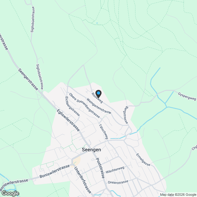 Luxuriöses Neubau Garten Apartment in Seengen - Karte