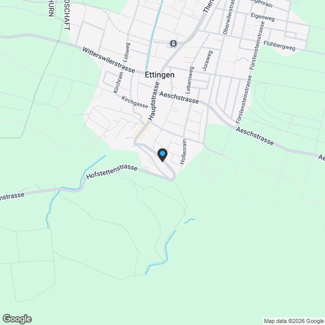 NEUBAU in Hofstetten-Flüh: Sonnenverwöhntes Einfamilienhaus - 1A-Ausblick! - Karte