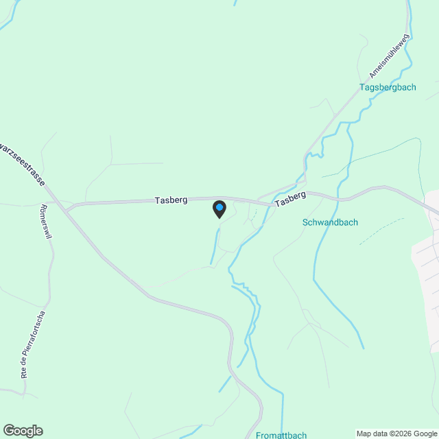 Einfamilen- und Reihenfamilienhaus mit Lift und grosser Terrasse, St. Ursen - kaufen - Karte