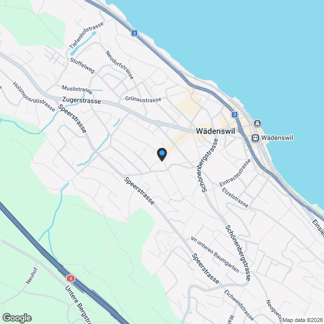 Exklusives Wohnbauprojekt mit Seeblick in Wädenswil - Karte