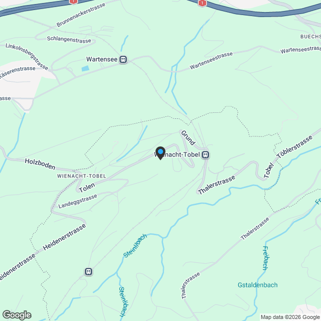 Ökologische 4.5-Zimmer Dachwohnung in Wienacht-Tobel (Neubau) - Karte