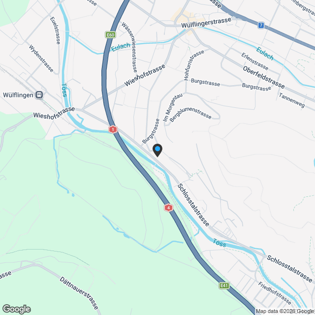 Doppeleinfamilienhaus in Winterthur - Karte