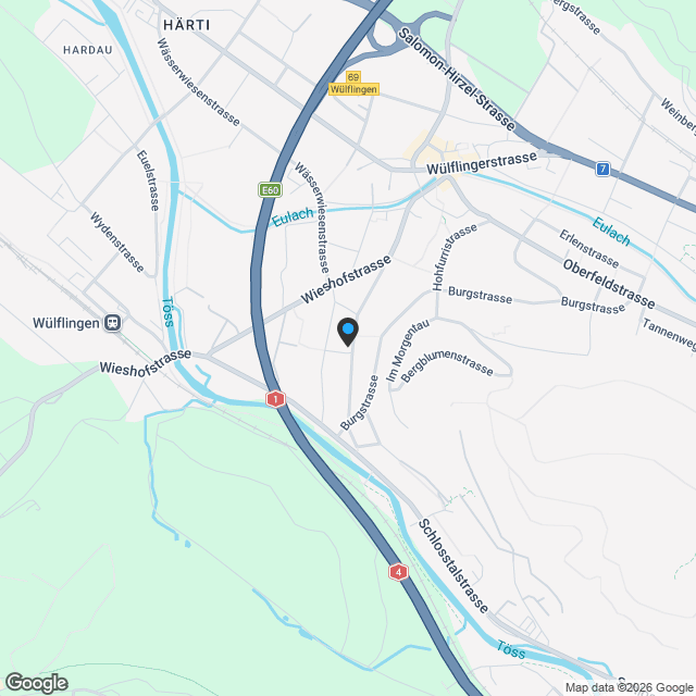 4.5 Zimmer-Gartenwohnung in Winterthur-Wülflingen - Karte