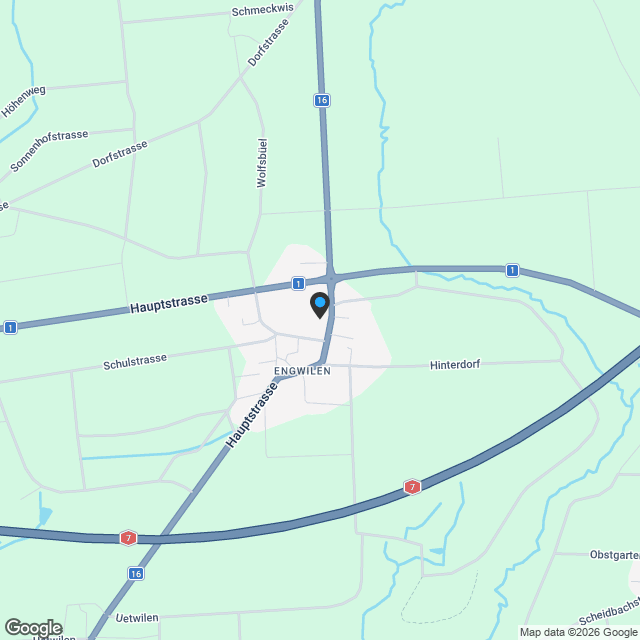 *Neubau* Letztes 5 ½-ZI. EFH mit Traum-Küche, viel Platz für Ihre Kinder im grossen Garten, etc. - Karte
