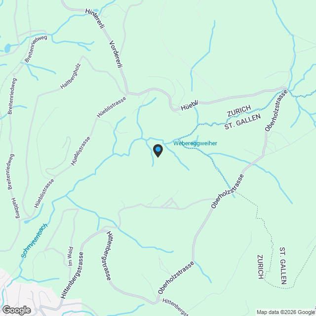 VERKAUFSANKÜNDIGUNG: Neubauprojekt in Wald ZH - Karte