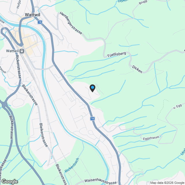 Exklusive Neubauwohnungen in Wattwil - modern wohnen in naturnaher Lage - Karte