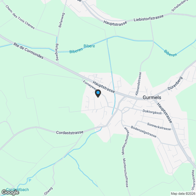 Modernes 5.5-Zimmer-Doppeleinfamilienhaus in Gurmels - Karte