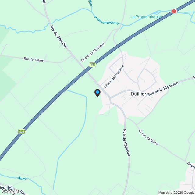 Appartement 4.5 pièces à Duillier copie - Karte