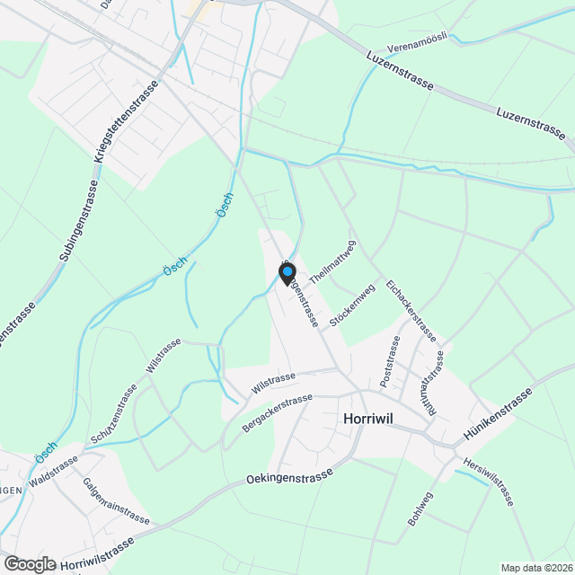 6.5-Zi. Neubau-Doppeleinfamilienhaus mit Terrasse in Horriwil kaufen - Karte