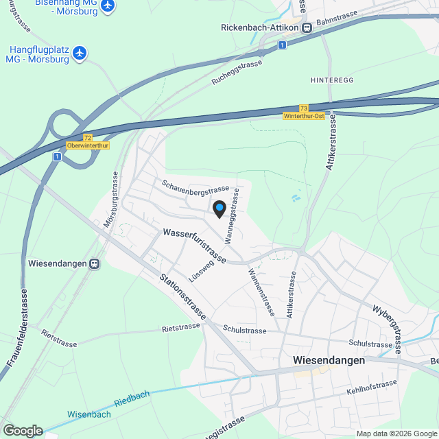 Exklusive 4.5-Zimmer-Gartenresidenz Wydens OME in Wiesendangen - Karte