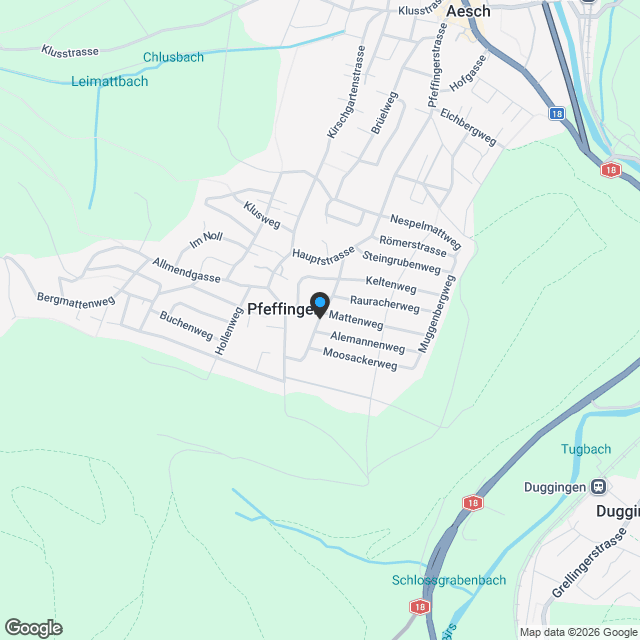 Zeitloser Neubau mit grosszügigem Raumkonzept - Karte