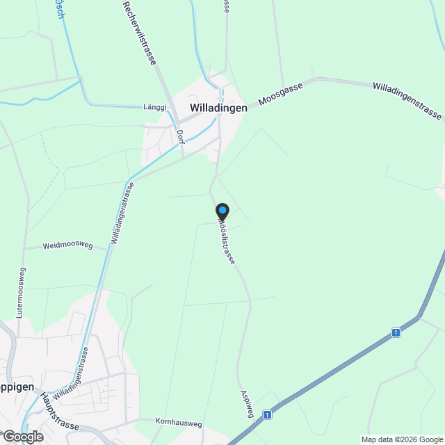 Neubau mit Mitgestaltungsmöglichkeit: Modernes 6.5-Zimmer Doppelhaus - Karte