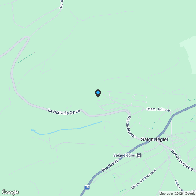 Maison moderne en madrier thermo-chauffé, avec garage, terrasse et jardin - Karte