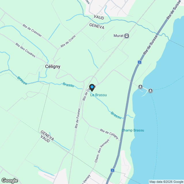 LOT 2 | OPPORTUNITÉ RARE À CÉLIGNY | SUPERBE 5 PIÈCES AVEC TERRASSE DE 26 M² - Karte