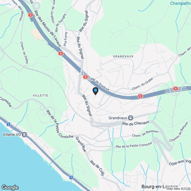 Nouvelle promotion en cours de construction au coeur du Lavaux - Karte