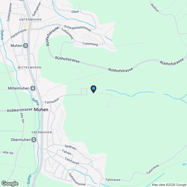 Neubau Moderne 5.5-Zimmer Attikawohnung in Minergie P - Karte