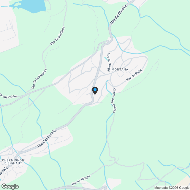 4.5 pièces neuf dans '"Le Guépard"" avec service hôtelier - Karte