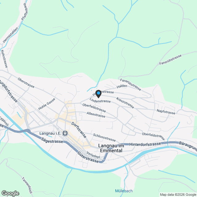 Grosszügige Attikawohnung in Langnau - Karte
