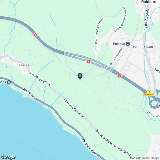 Wohnungen zum Verkauf in Puidoux, Puidoux, Schweiz - Karte