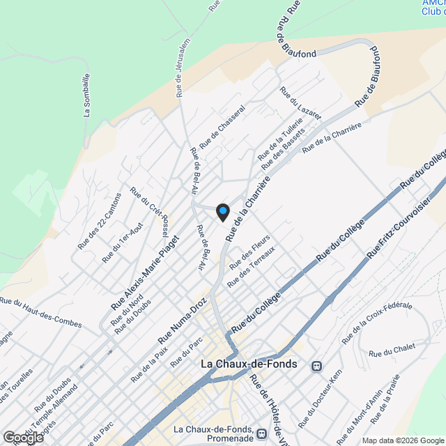 Wohnung zu verkaufen, Rue des Tilleuls 6, 2300 La Chaux-de-Fonds, Schweiz, in La Chaux-de-Fonds, Schweiz - Karte