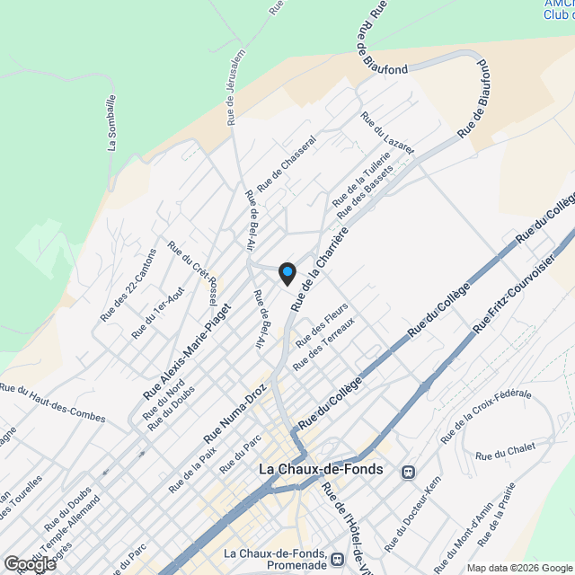 Wohnung zu verkaufen, Rue des Tilleuls 6, 2300 La Chaux-de-Fonds, Schweiz, in La Chaux-de-Fonds, Schweiz - Karte