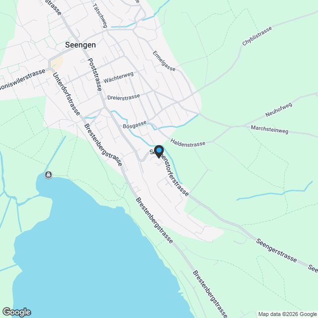 Exklusives 6.5-Zimmer-Einfamilienhaus Minergie-P-Qualität in Seengen - Karte