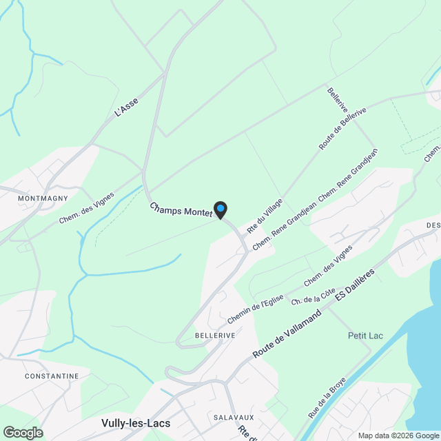 Villa haut de gamme en cours de finition à Vully les Lacs - Karte