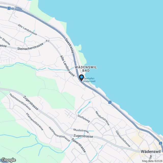 4.5 Zimmerwohnung in Au Wädenswil - Karte