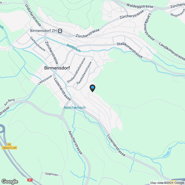 hochwertige 4.5-Zimmer-Attikawohnung in Birmensdorf - Karte