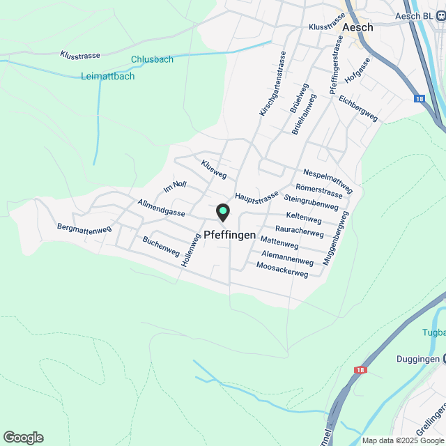Erstvermietung 5.5 Zimmer Maisonette in Pfeffingen - Karte