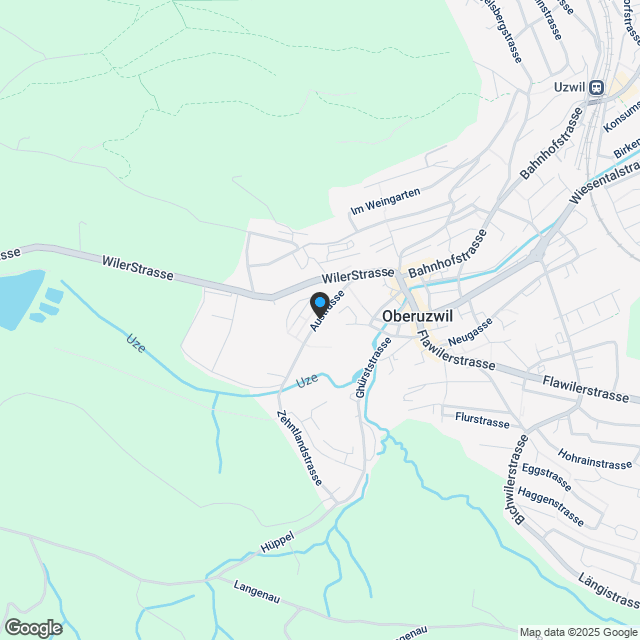 5½ Zimmer DEFH in ruhigem Wohnquartier - Karte