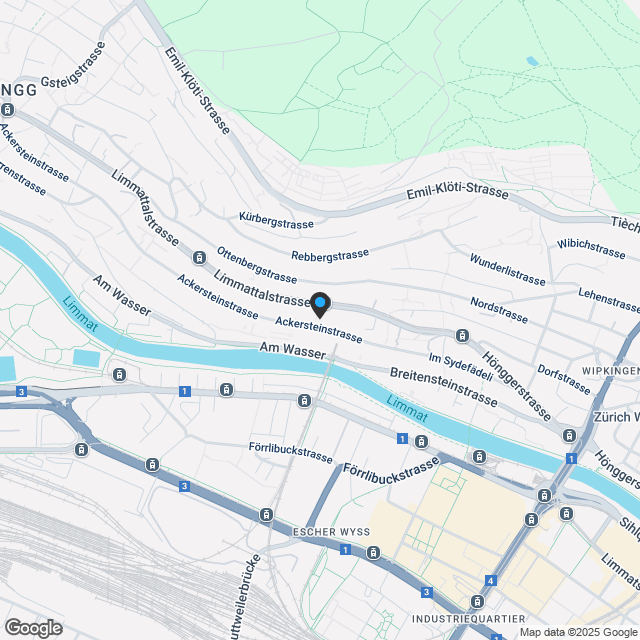 Neubauwohnung in Zürich-Hoengg - Karte