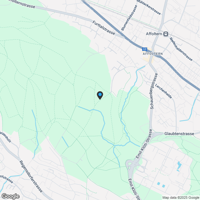 Grosszügige 4.5-Zimmer-Wohnung am Holderbachweg - Karte