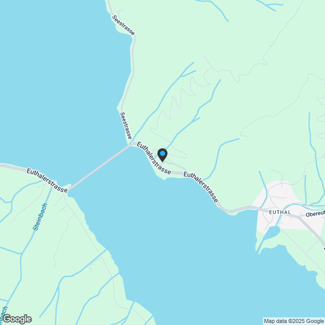 Einzigartiges EFH/DEFH Neubauprojekt am Sihlsee - Karte