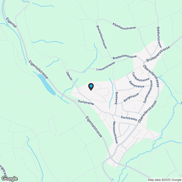 4.5-Zimmer-Neubawohnung in Nürensdorf EG1 - Karte