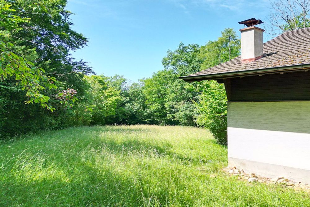 Grosses Grundstück an ruhiger und sonniger Lage in Hochwald - Bild 4