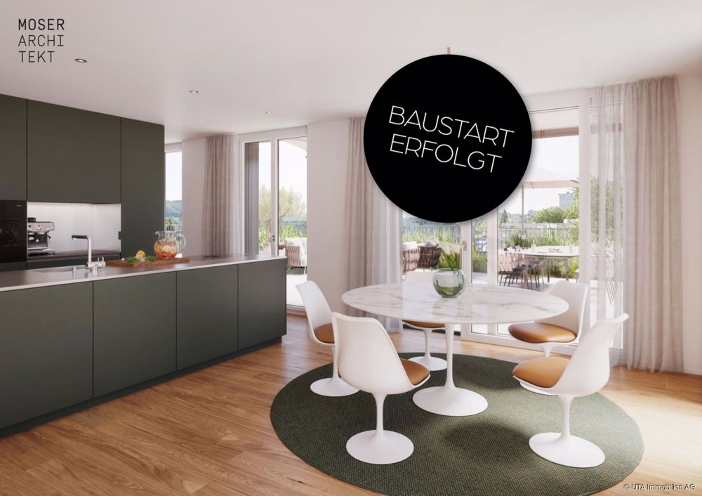 Geniessen Sie die Aussicht von Ihrer tollen Attikawohnung - Bild 2