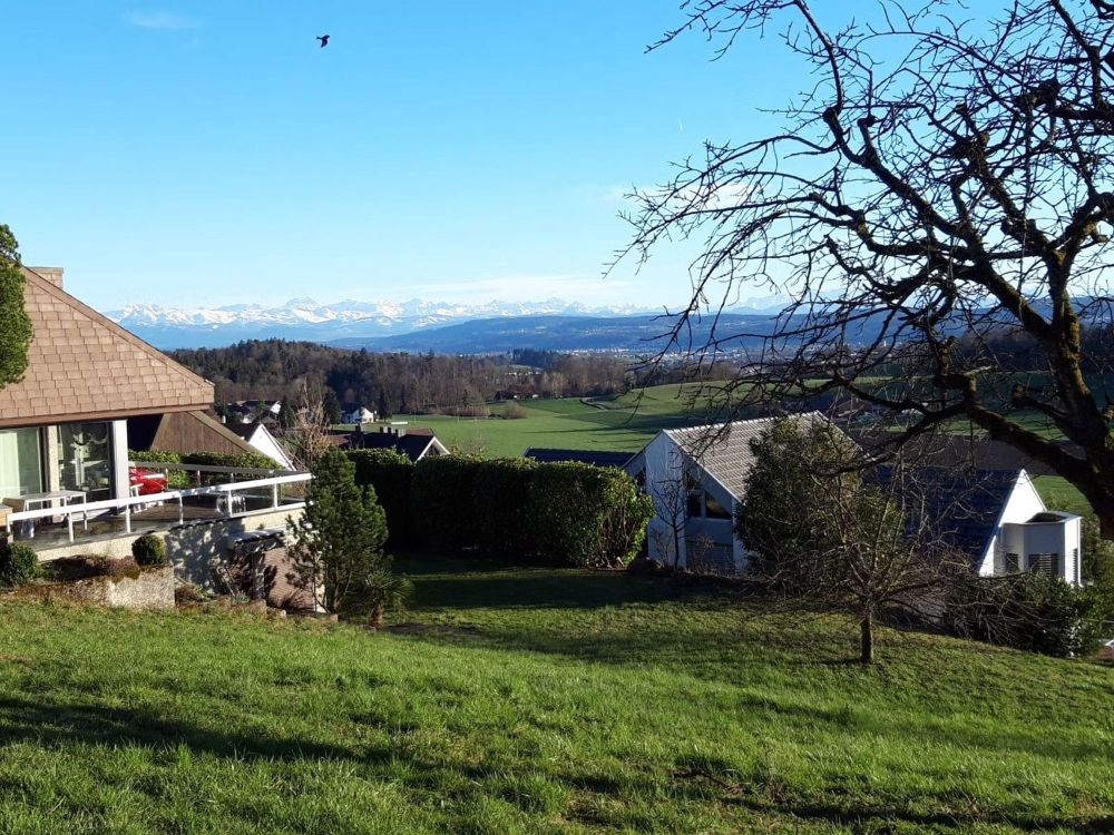 4.5-Zimmer-Neubawohnung in Nürensdorf EG1 - Aussicht