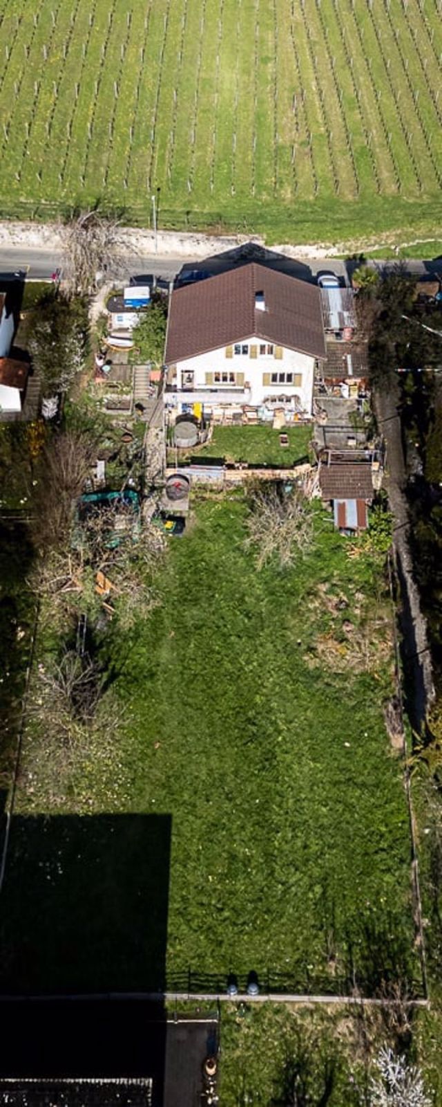 Einfamilienhäuser Projekt in Erlach mit Seeblick - Bild 8